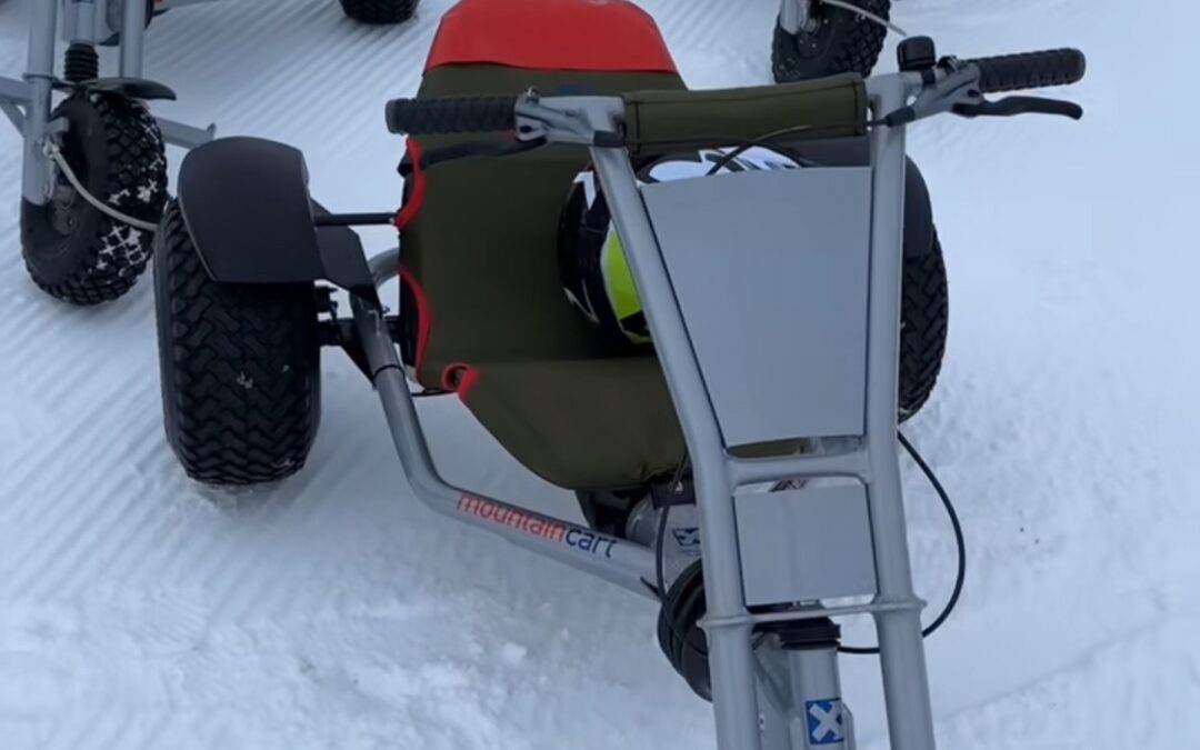 Mountain Cart Vinter