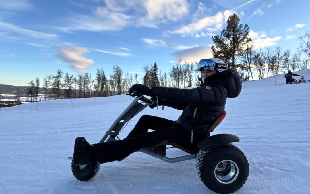 Mountain Cart Vinter